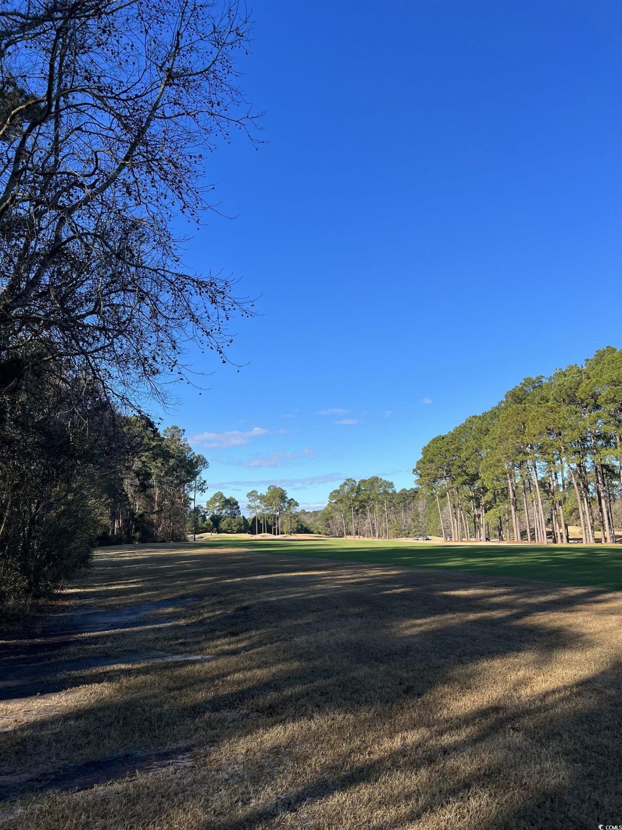 1000 Maccoa Dr. Photo 7