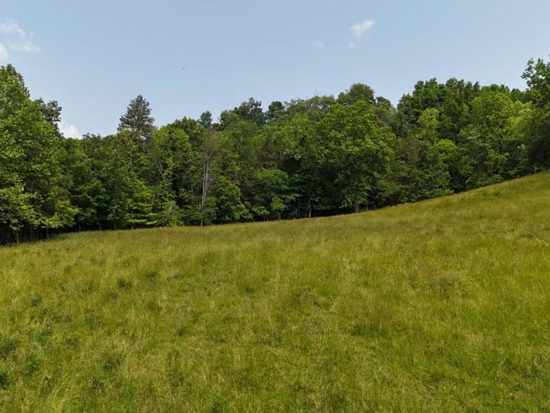 1143 Dotson Road, Seaman, OH 45679 Photo 48