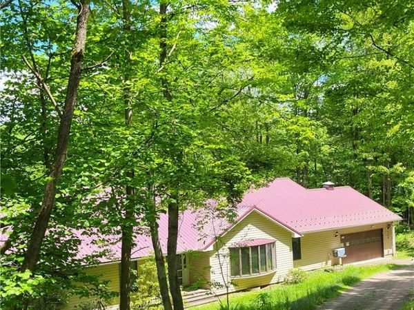 104 McClure Drive, Deposit, NY 13754