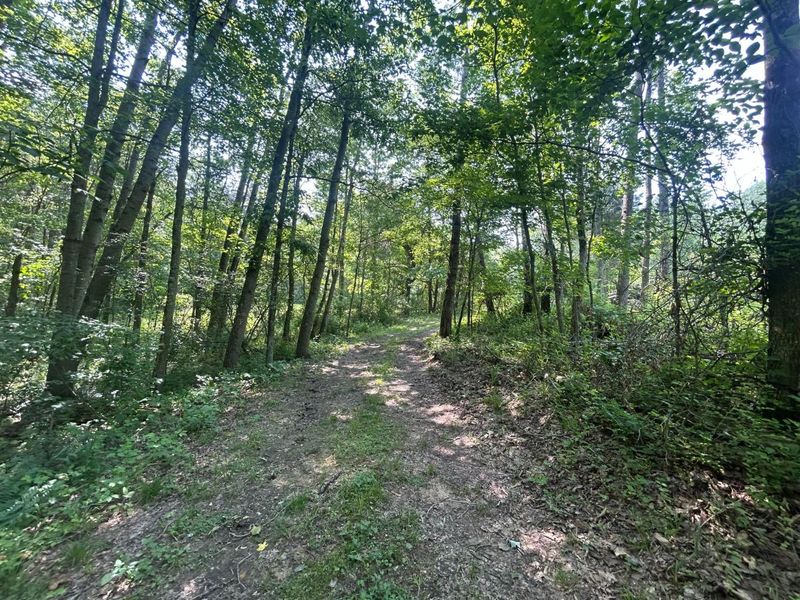 0 Oh-328, New Plymouth, OH 45654 Photo 41