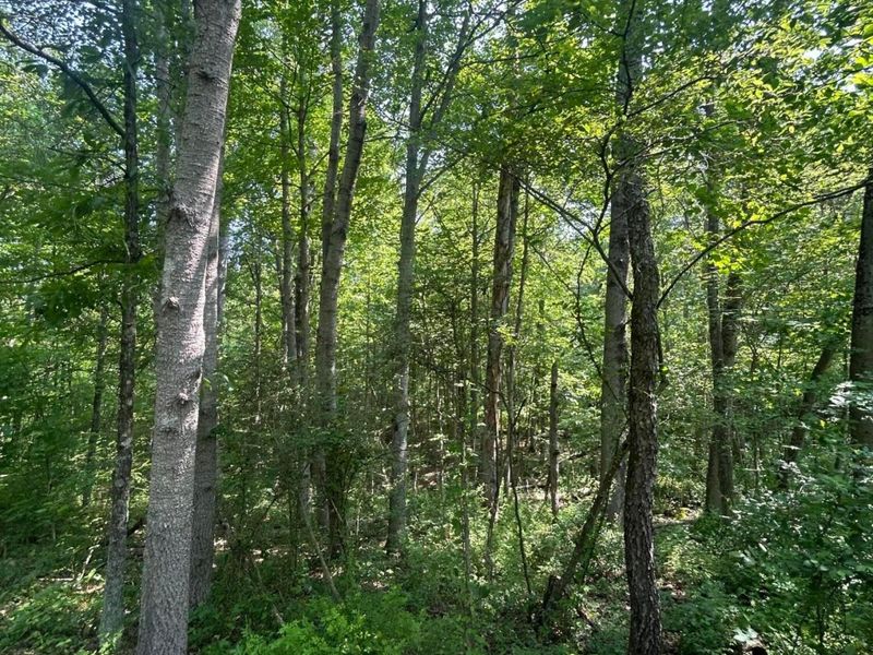 0 Oh-328, New Plymouth, OH 45654 Photo 43