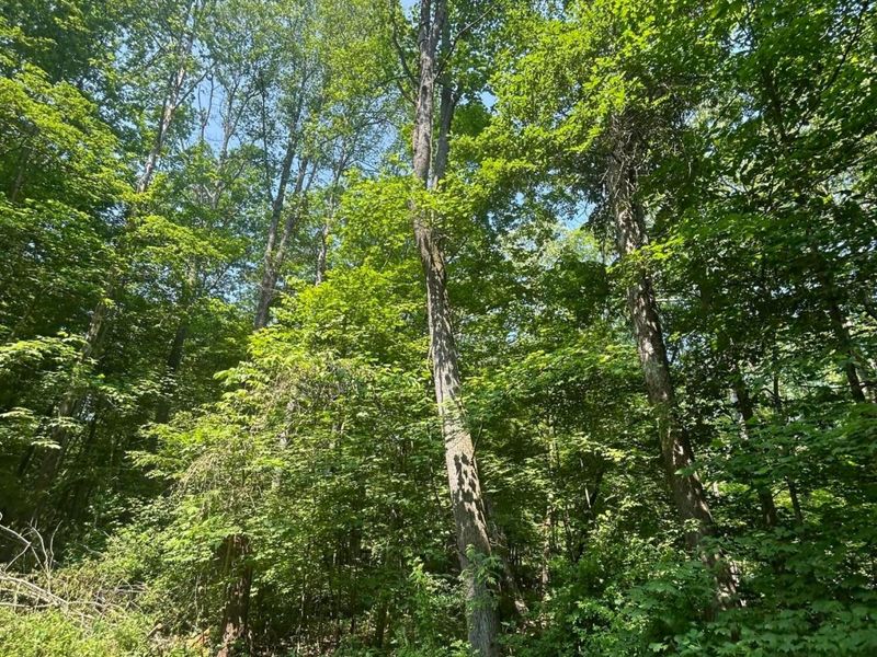 0 Oh-328, New Plymouth, OH 45654 Photo 55