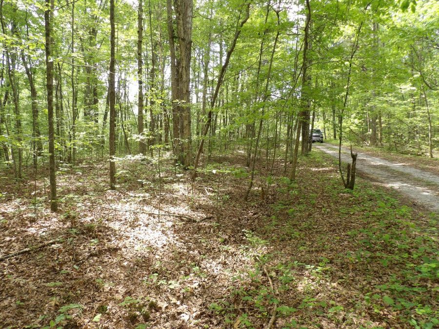 Property Image 9