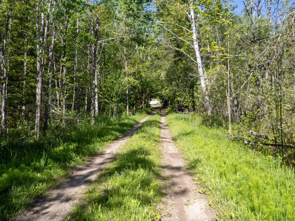 000 Douglas Road, Cheboygan, MI 49721