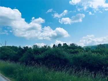 0 Clark Rd Extension, Almond, NY 14803