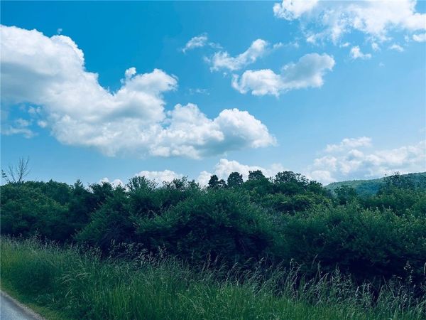 0 Clark Rd Extension, Almond, NY 14803