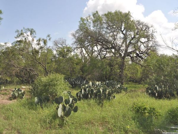 TBD CR 662, Devine, TX 78016