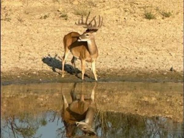 2367 County Road 311, Gouldbusk, TX 76845