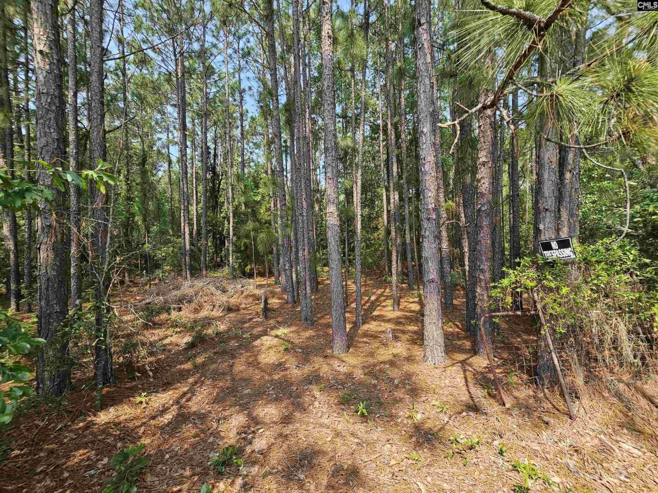 1307 Main Street Photo 10