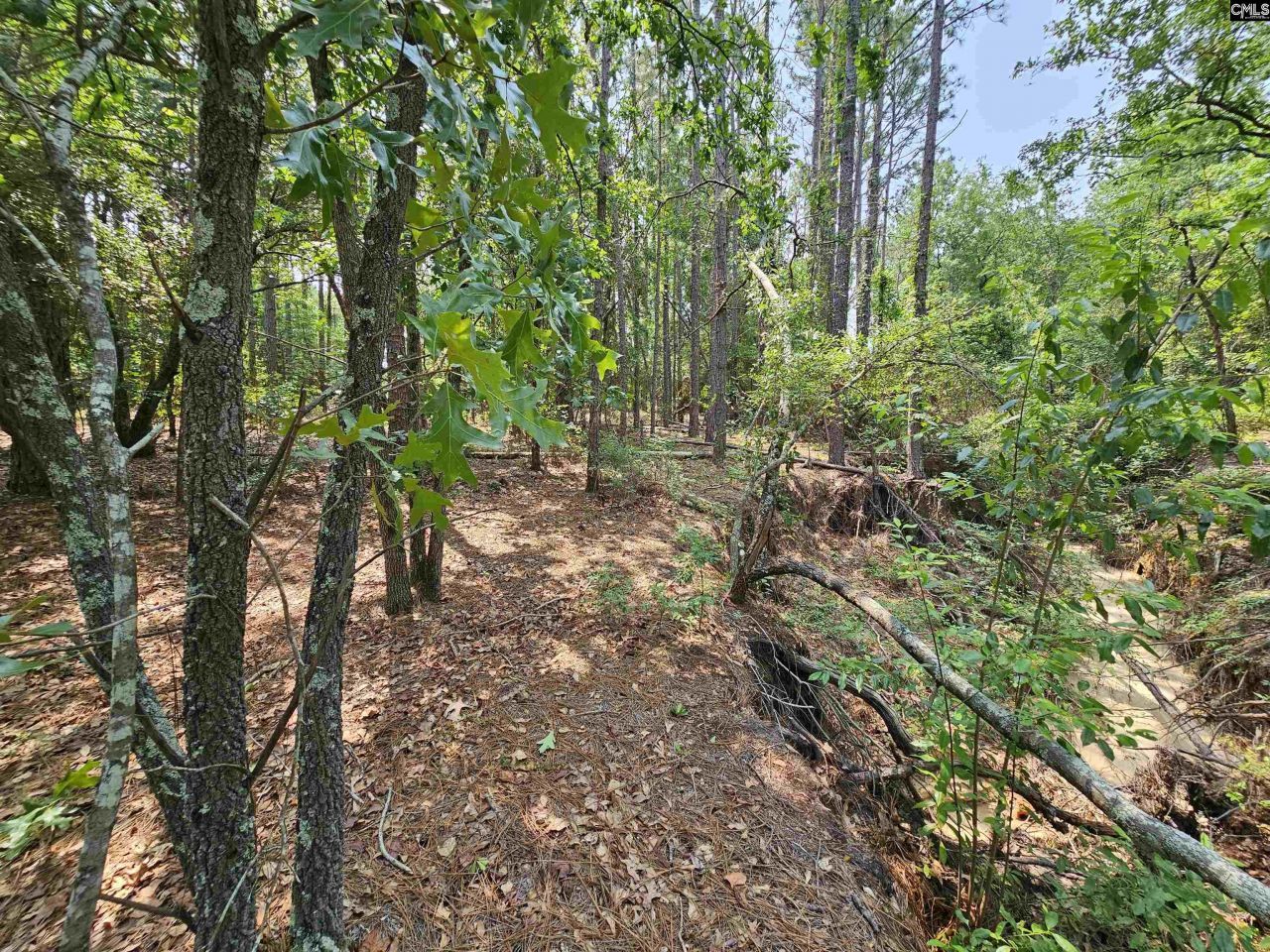 1307 Main Street Photo 12