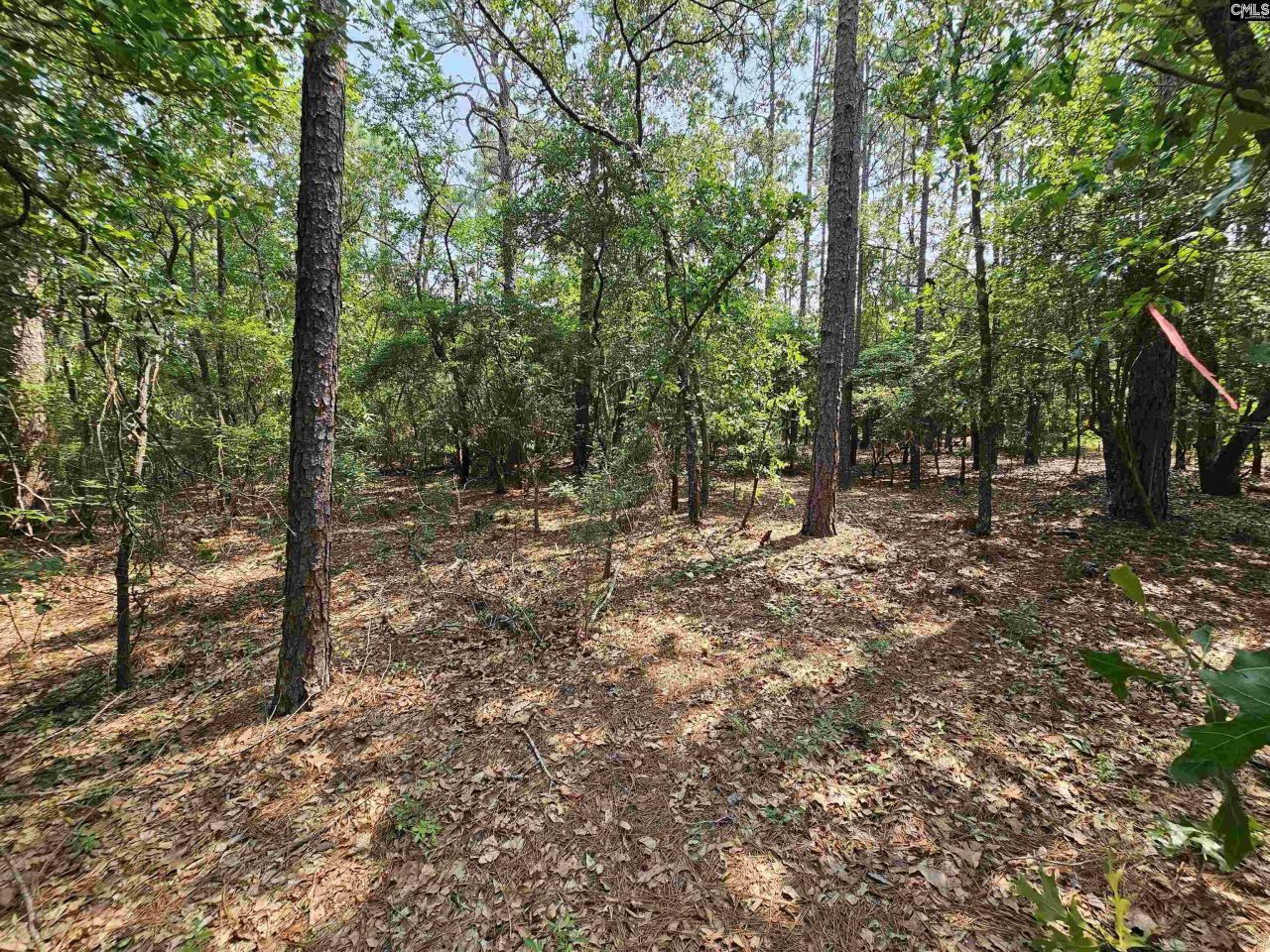 1307 Main Street Photo 13