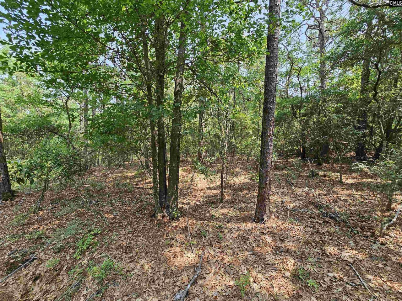 1307 Main Street Photo 14