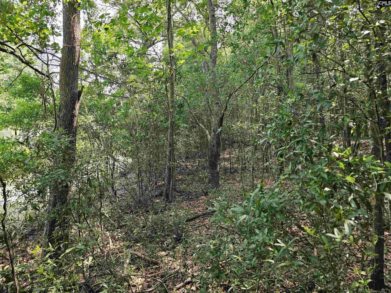 1307 Main Street Photo 15