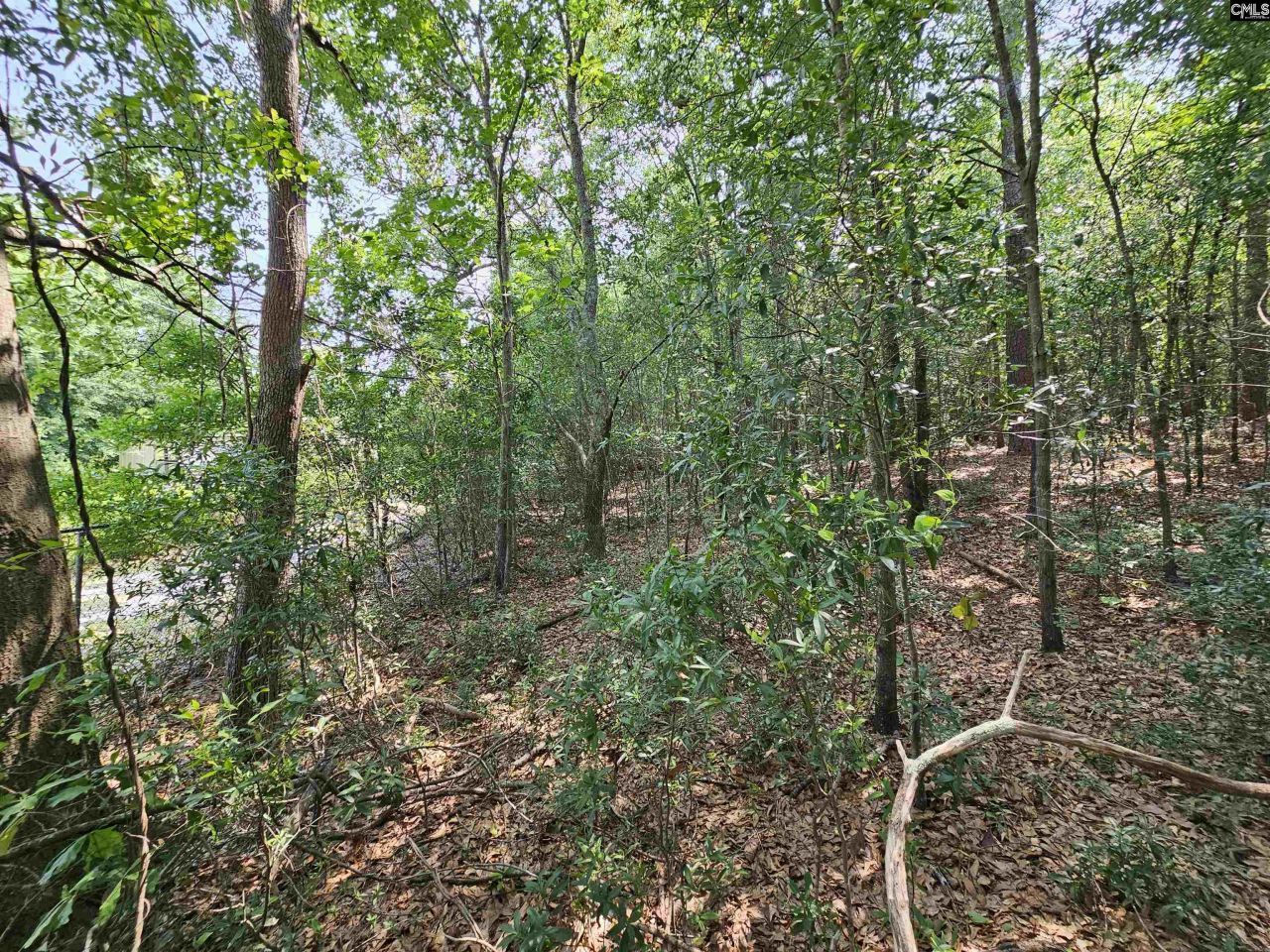 1307 Main Street Photo 16