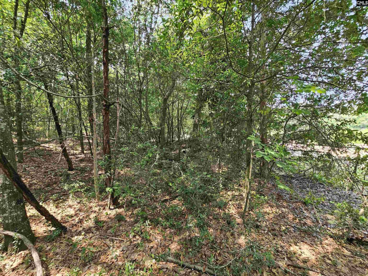 1307 Main Street Photo 17