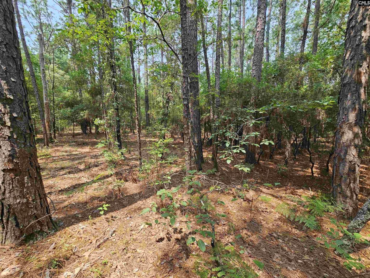 1307 Main Street Photo 18