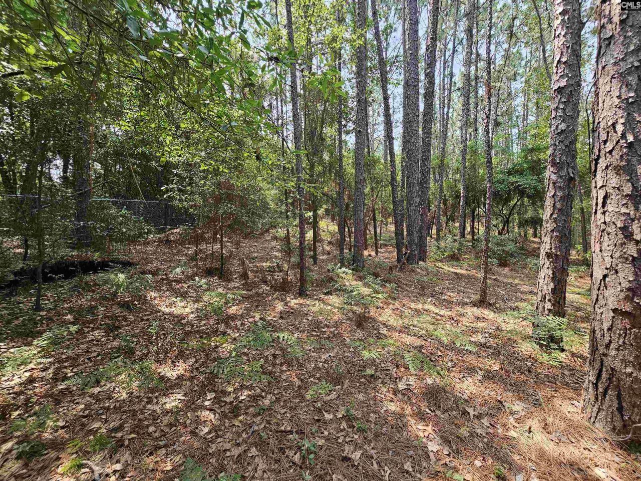 1307 Main Street Photo 19