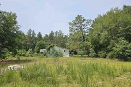 1307 Main Street photo 4