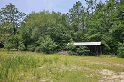 1307 Main Street photo 4