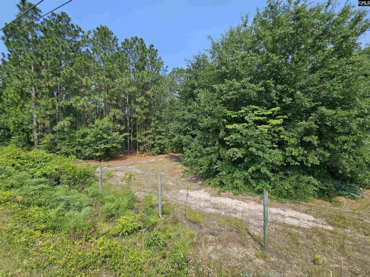 1307 Main Street Photo 9