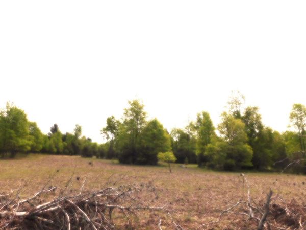 15880 Potter Road, Unit B26.82, Kaleva, MI 49645