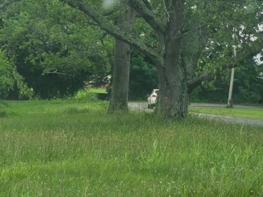 000 Vine Street , Oakland, KY 42159