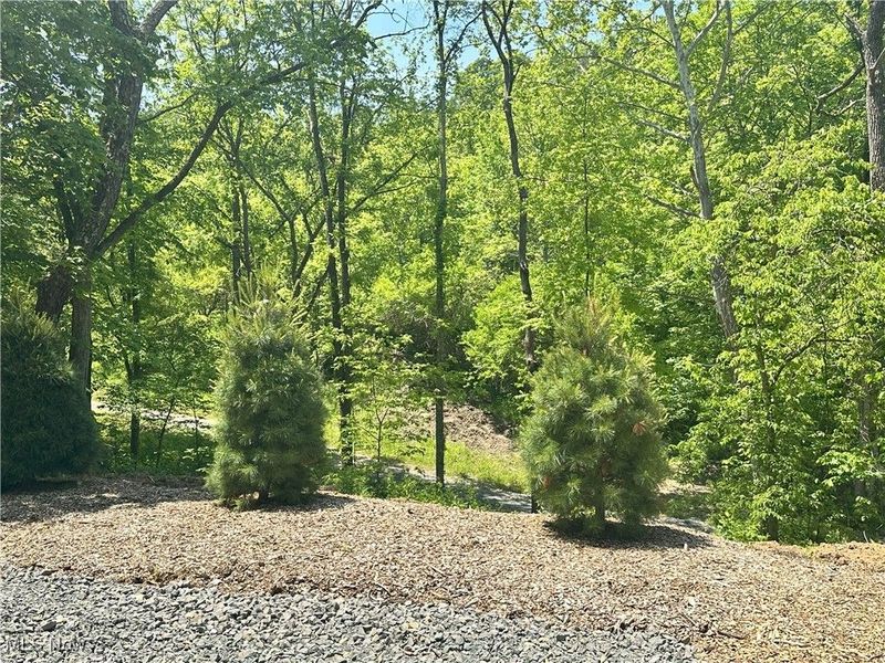 00001 Morton Hill Road, Lower Salem, OH 45745 Photo 31