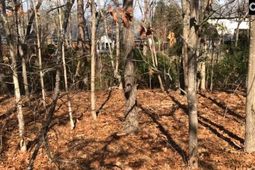 326 Carola Lane photo 4