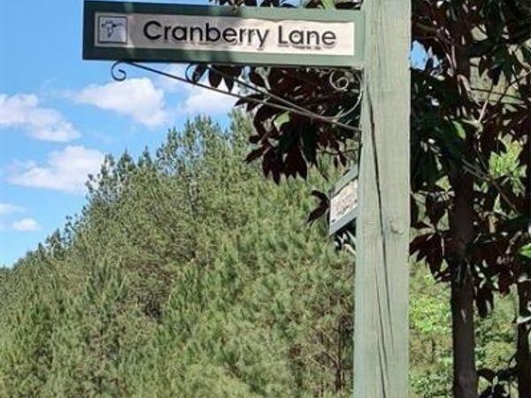 105 Cranberry Lane, Mooresboro, NC 28114