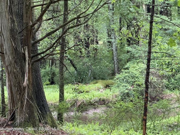 00 Whites Lane, Woodstock, NY 12498