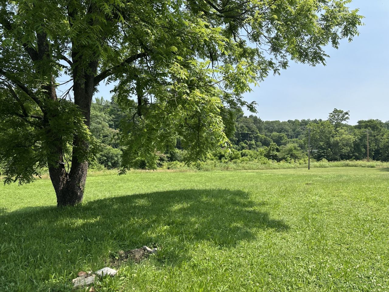 221 Carroll Ave, Waverly, TN 37185 Main Photo