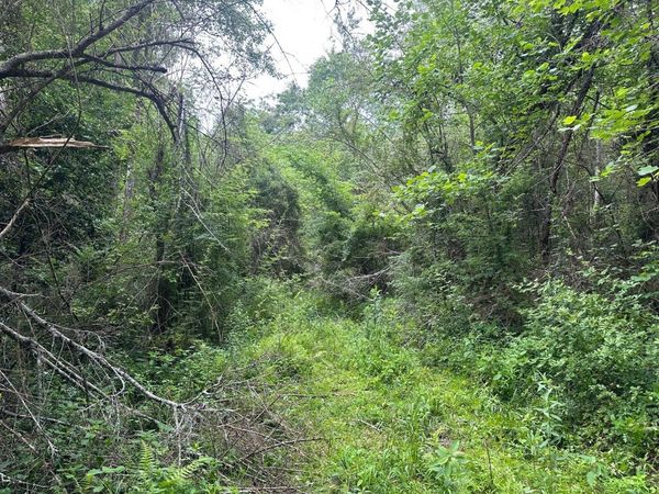 10 Sr 108, Gruetli Laager, TN 37339