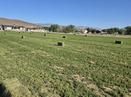 900 Cattle Drive, Fernley, NV 89408 Photo