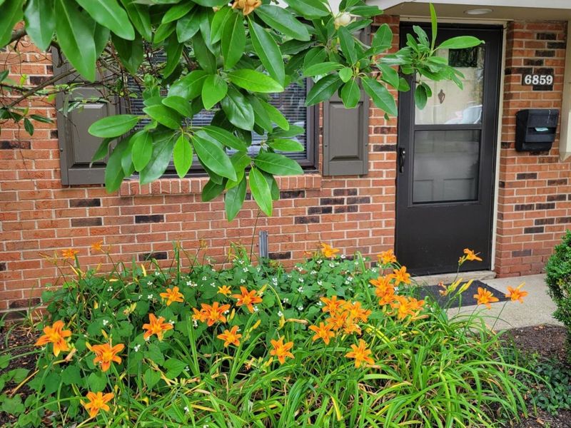 6859 Curtis Way, Florence, KY 41042 Photo 2