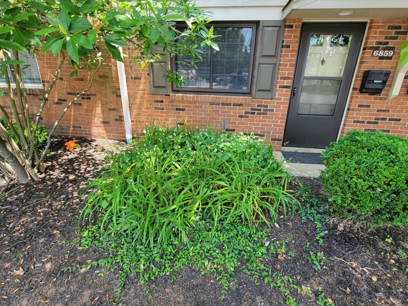 6859 Curtis Way, Florence, KY 41042 Photo 3