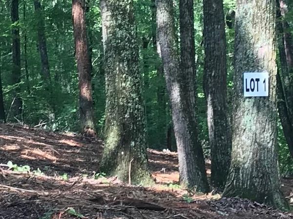 0 Piney Knob Drive, Spring City, TN 37381