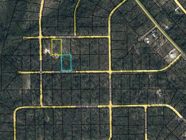 TBD Mulberry Dr and Hemlock Rd, Unit Lot 10 & L, Marianna, FL 32448
