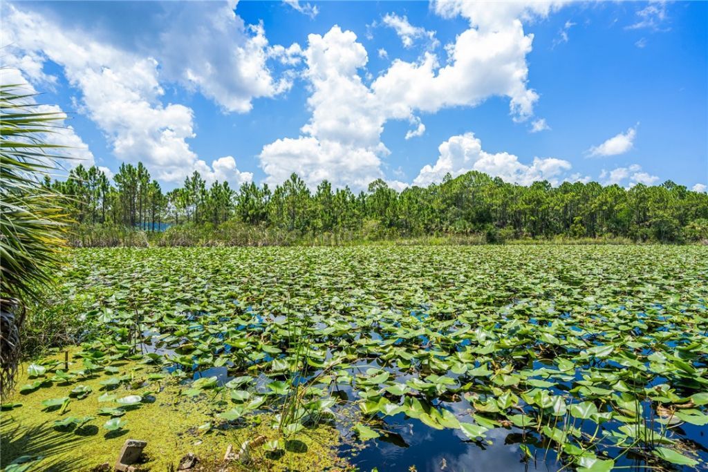 10255 99th Way, Sebastian, FL 32958 Photo