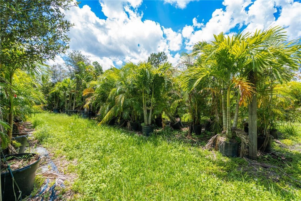 10255 99th Way, Sebastian, FL 32958 Photo