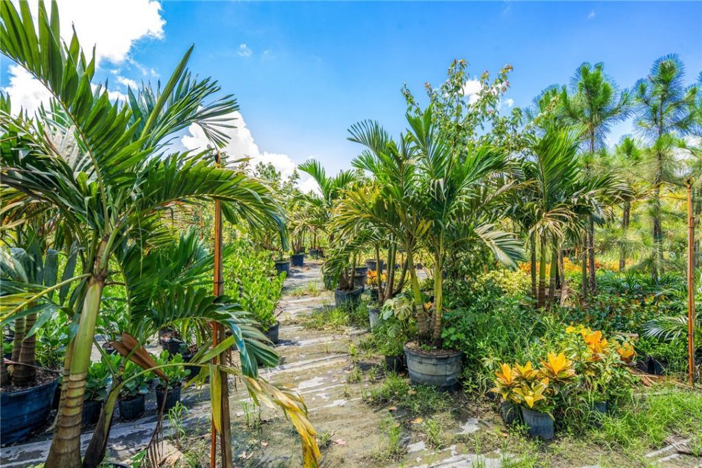 10255 99th Way, Sebastian, FL 32958 Photo