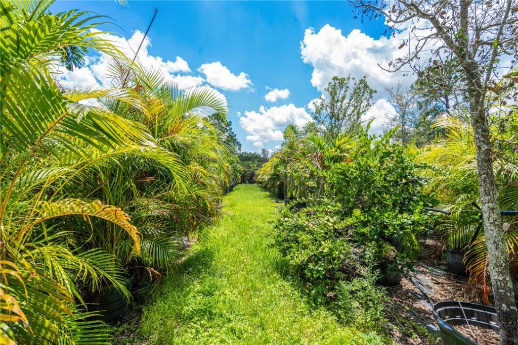 10255 99th Way, Sebastian, FL 32958 Photo