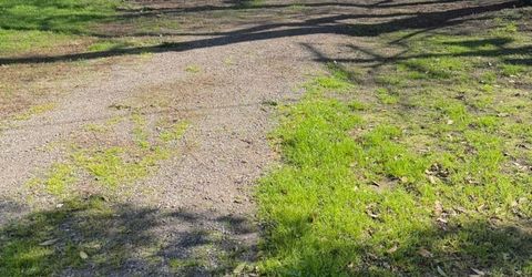 11715-119 S Riverside Ave & 119 R, Courtland, CA 95615 Photo