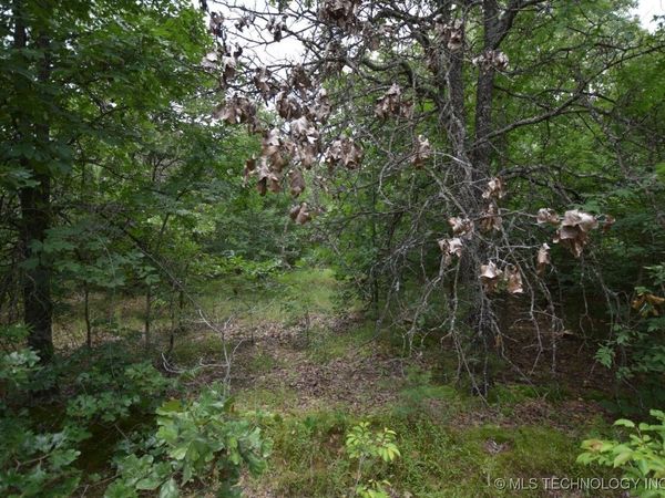 4 Darcy Drive , Vian, OK 74962