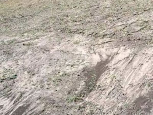 0 SE 0 County Road 189, Karnes, TX 78118