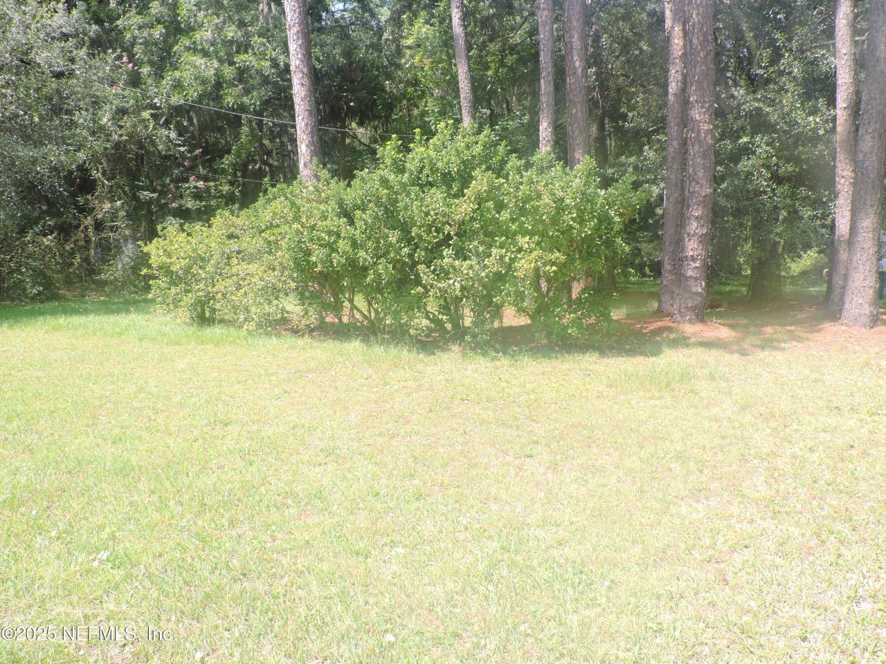 12556 Yellow Bluff Road, Jacksonville, FL 32226 Photo