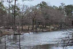 Tbd Hidden River Rd. photo 4