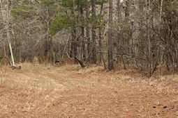 Tbd Hidden River Rd. photo 4