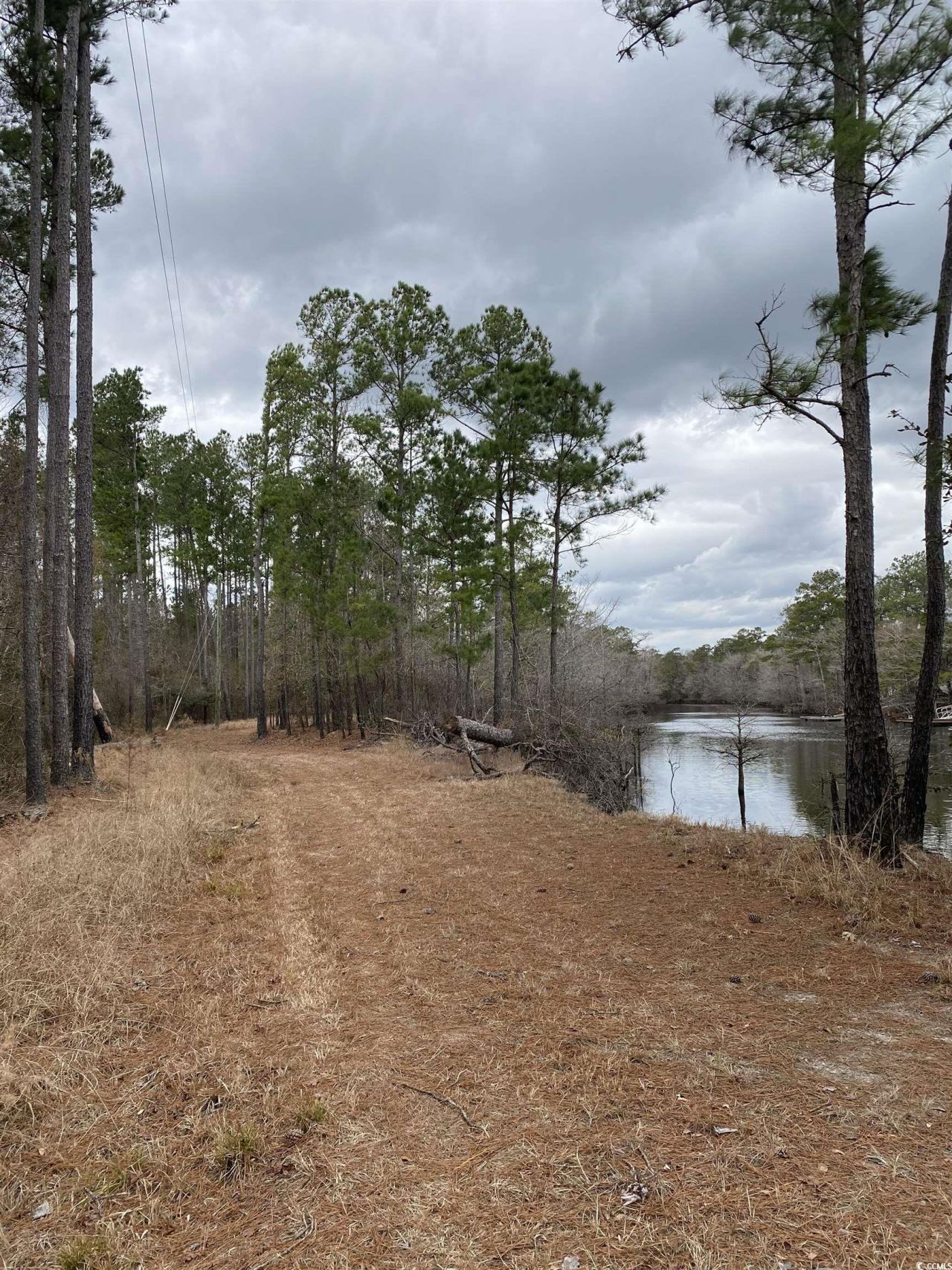 Tbd Hidden River Rd. Photo 4