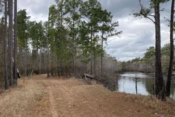 Tbd Hidden River Rd. photo 4