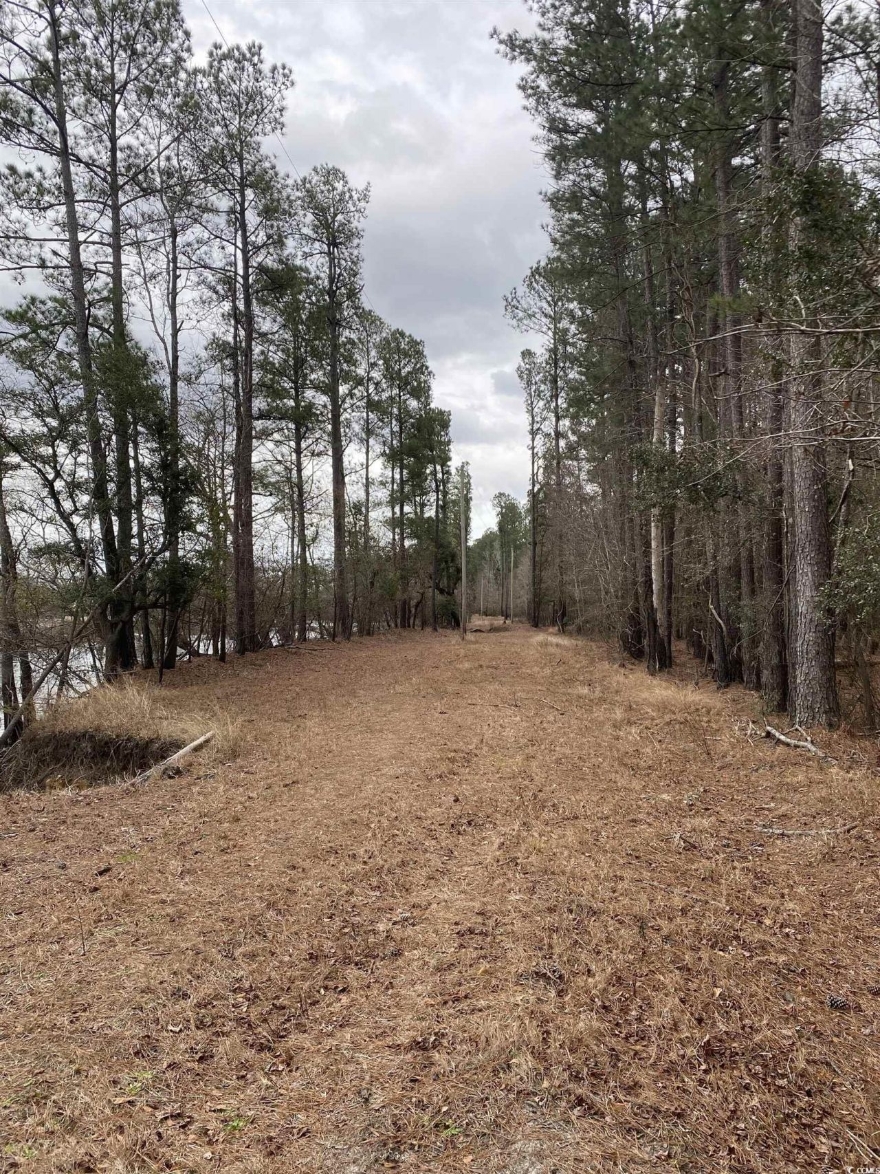 Tbd Hidden River Rd. Photo 5